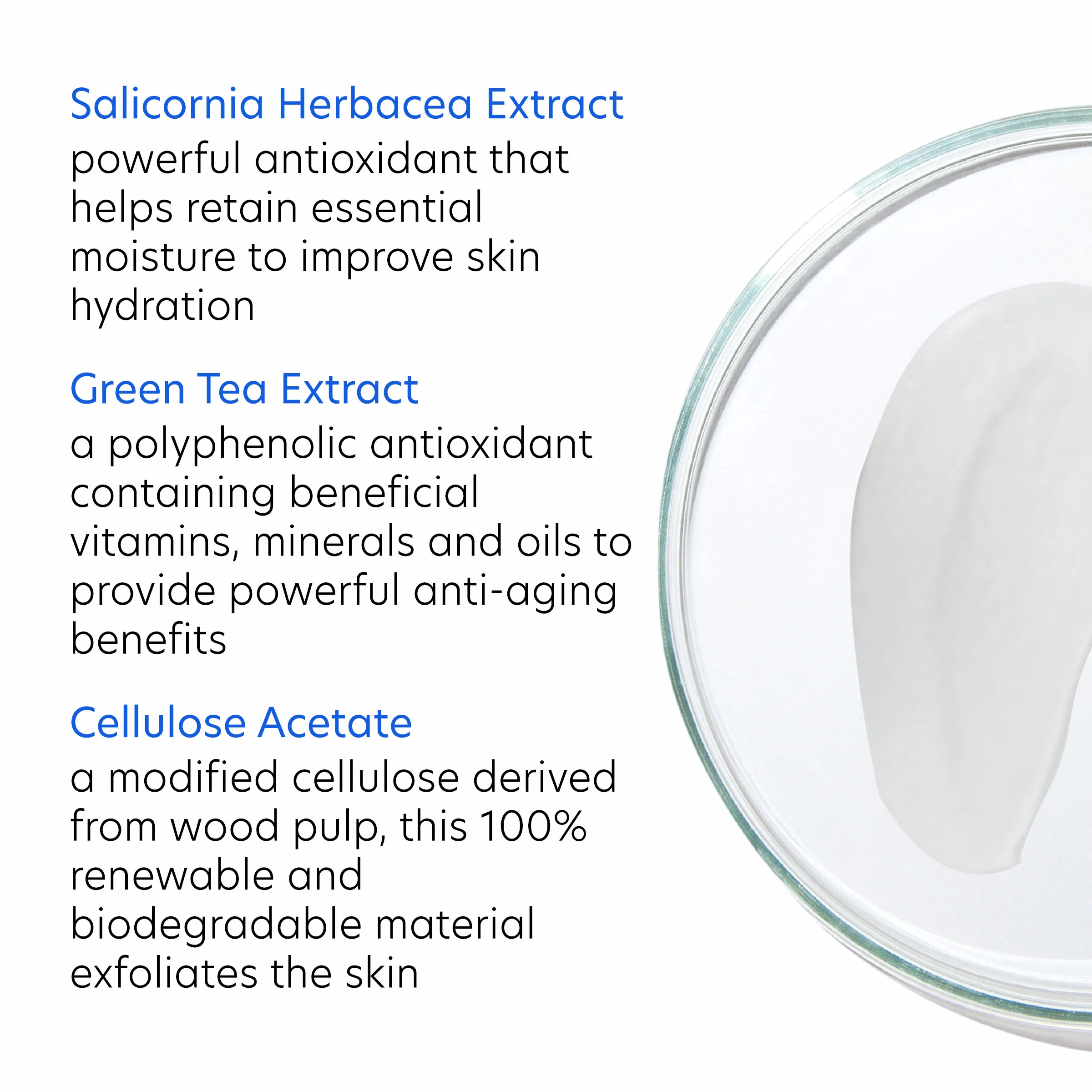PCA Skin Daily Exfoliant - Image 3